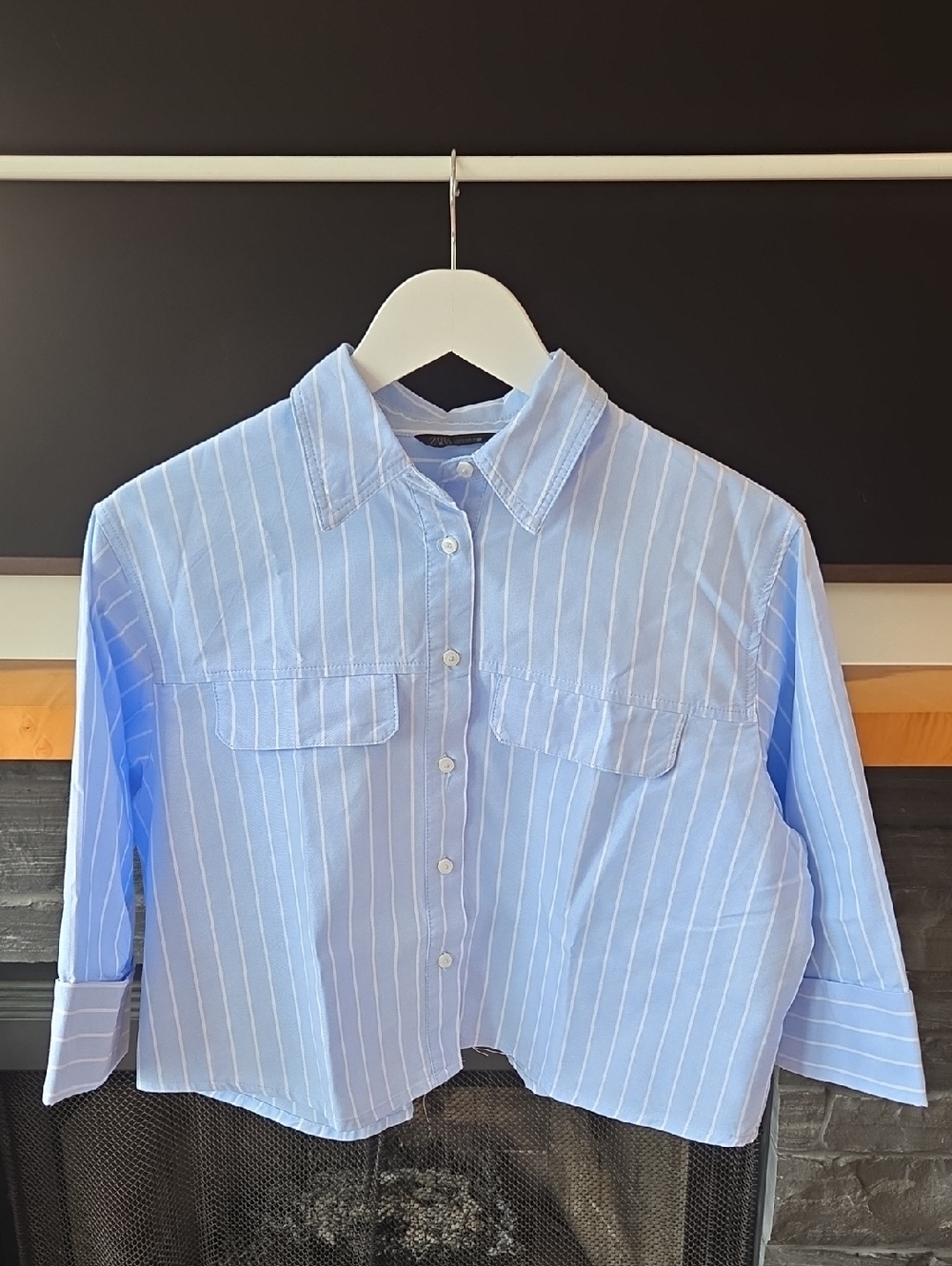 Light Blue Striped Blouse (Zara)